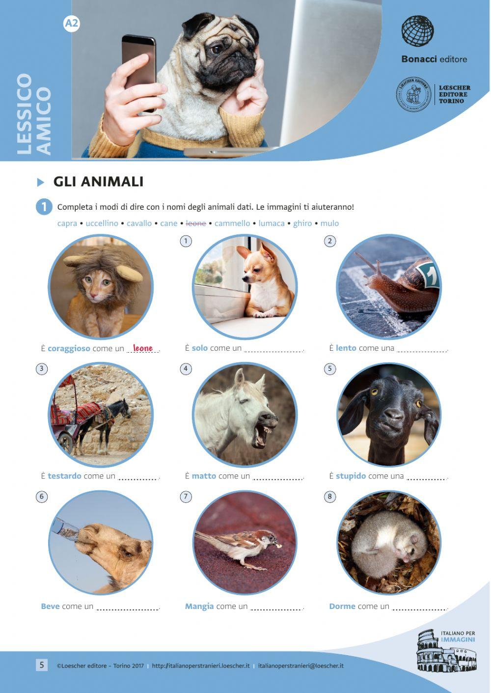 Animali e modi di dire