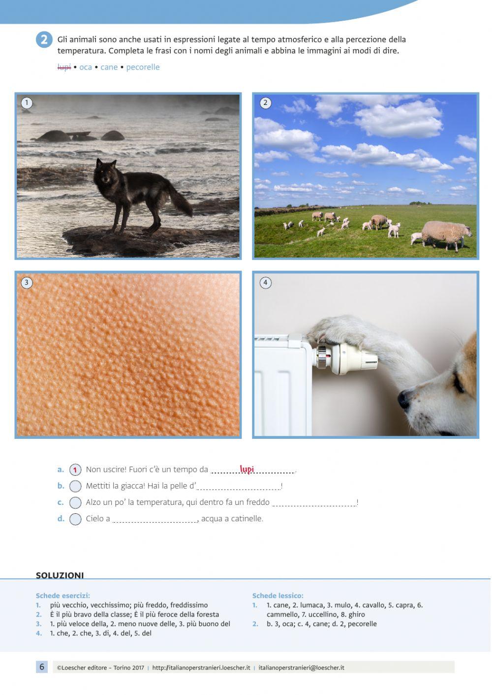 Animali e modi di dire