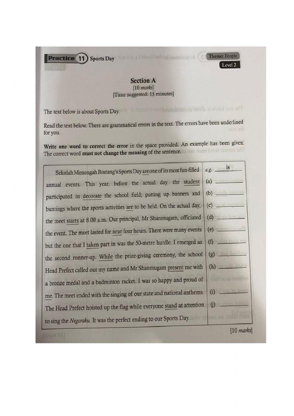 error identific… | Free Interactive Worksheets | 4460765