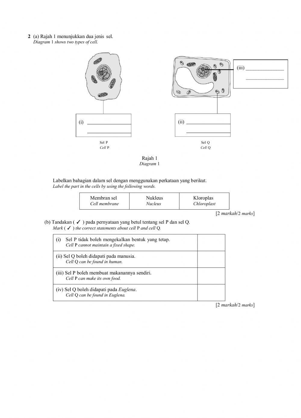 Latihan Sains Tingkatan 1