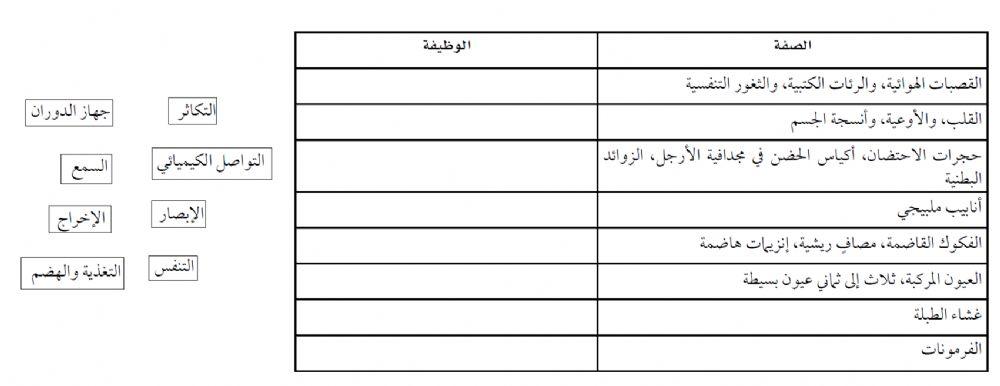 خصائص المفصليات