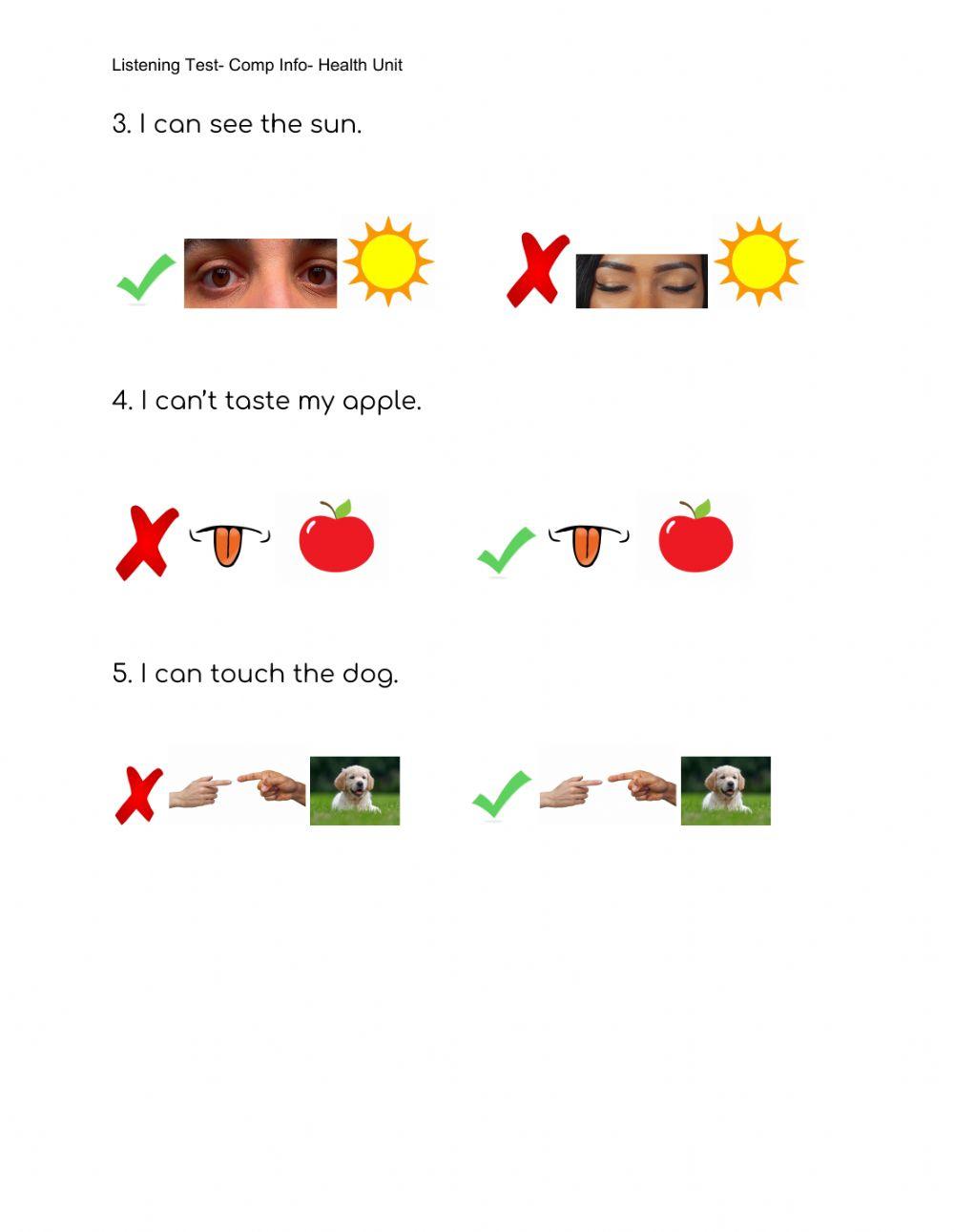Literacy-Listening Test- 5 Senses.