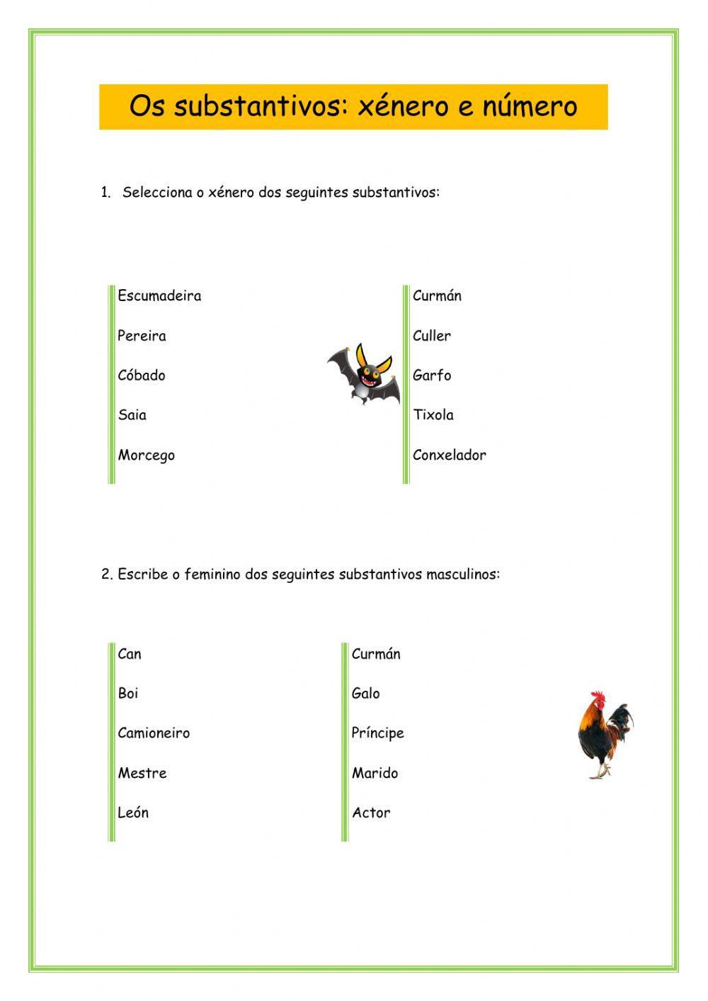 Os substantivos: xénero e número