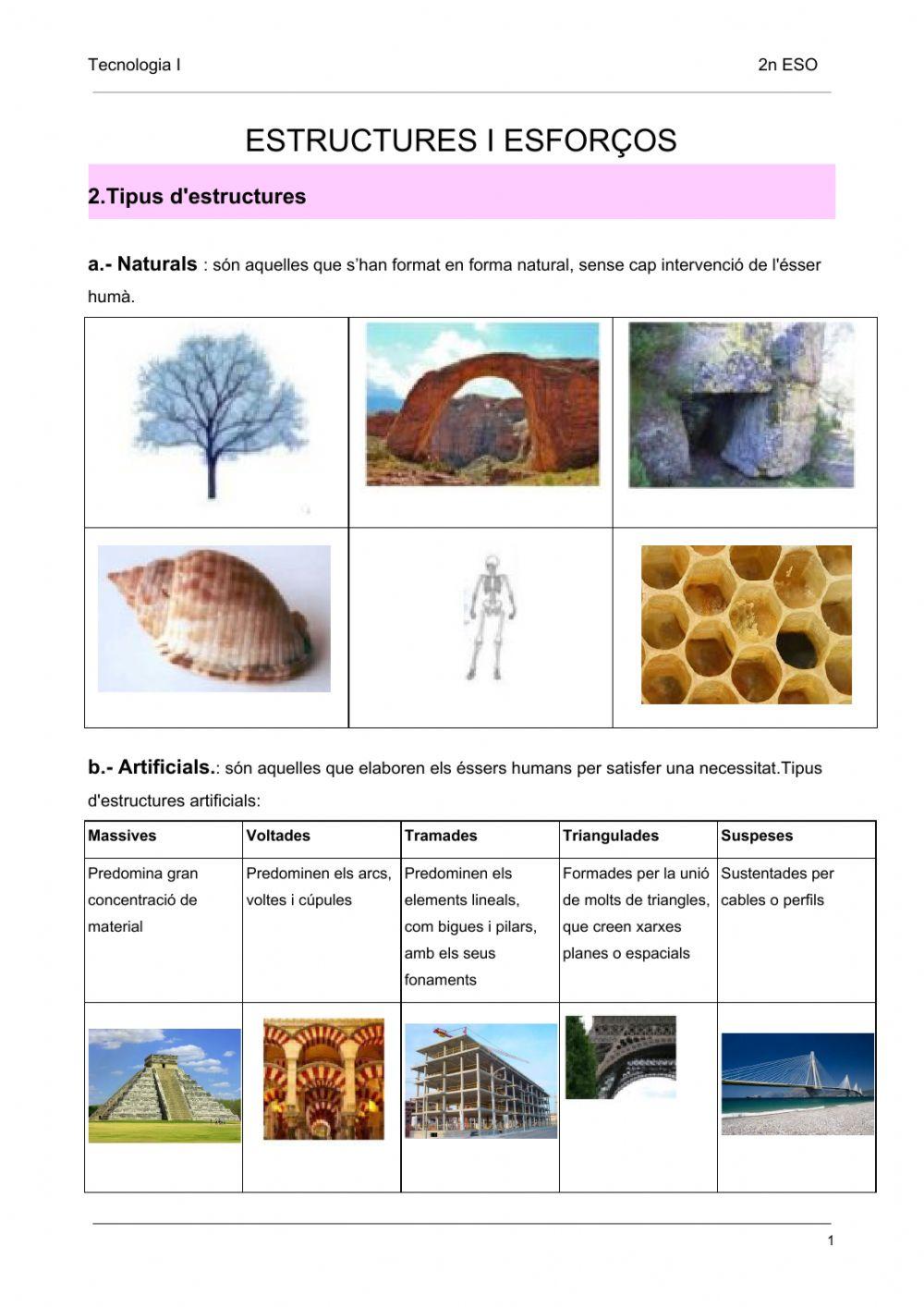 Estructures: tipus i elements estructurals