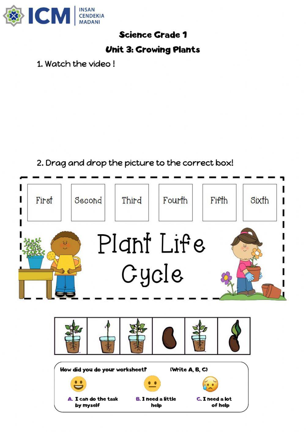 Science-Plant Life Cycle-Grade 1