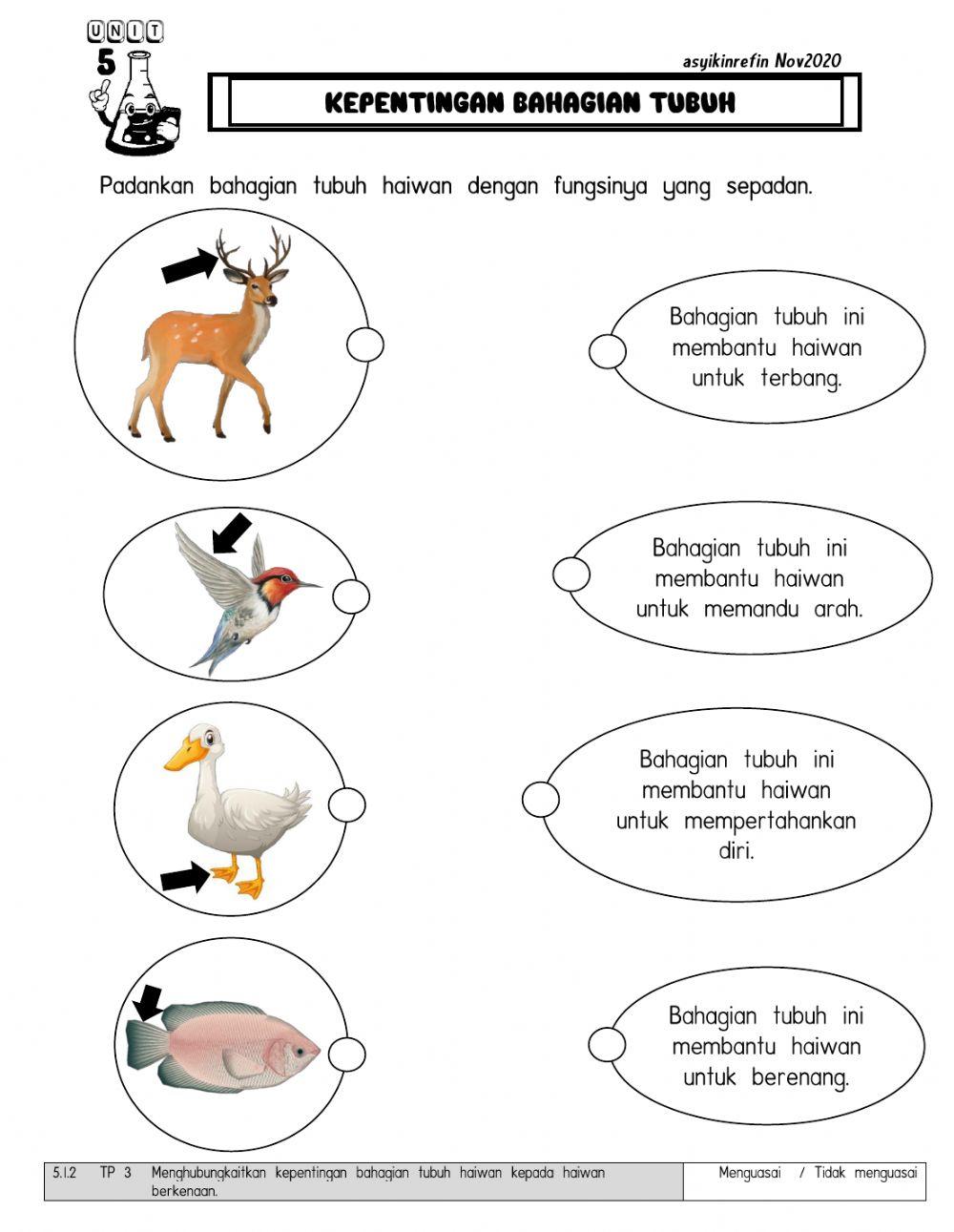 5.1.2-5.14 Haiwan Sains Tahun 1