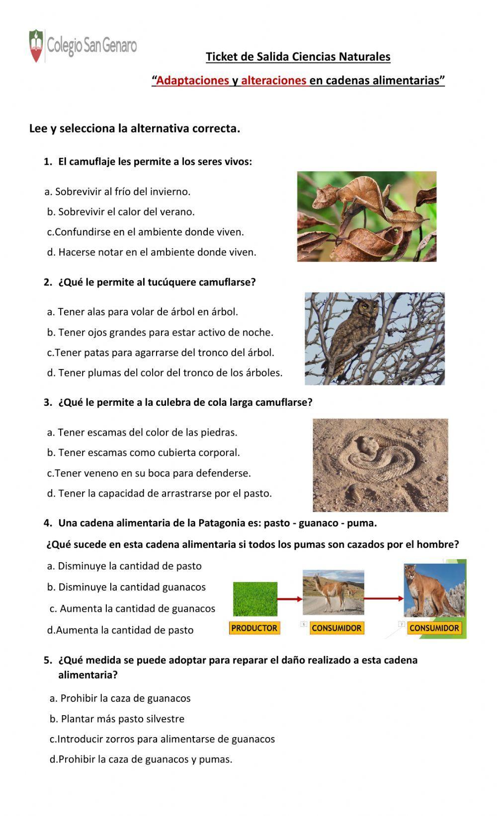 Ticket de salida camuflaje y alteraciones en cadenas alimentarias-