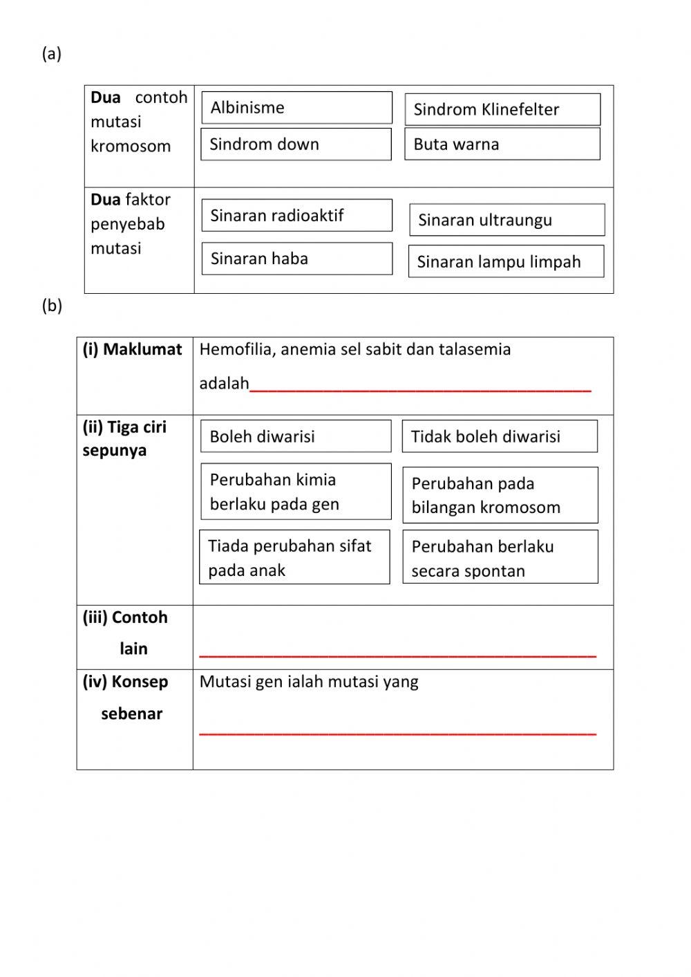 Soalan Sebenar SPM 2017 (Bahagian C: No 12)