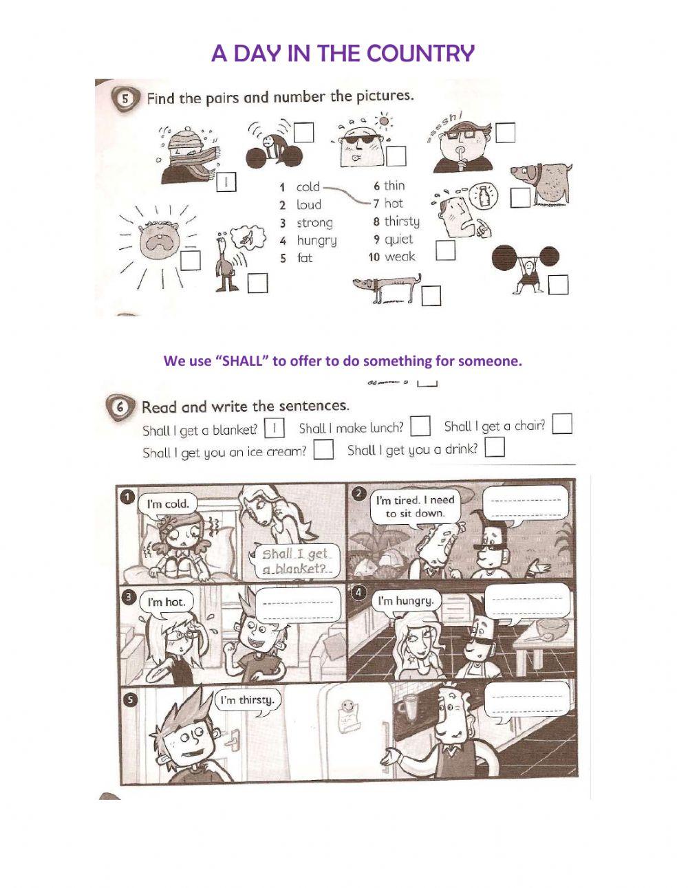 A day in the country