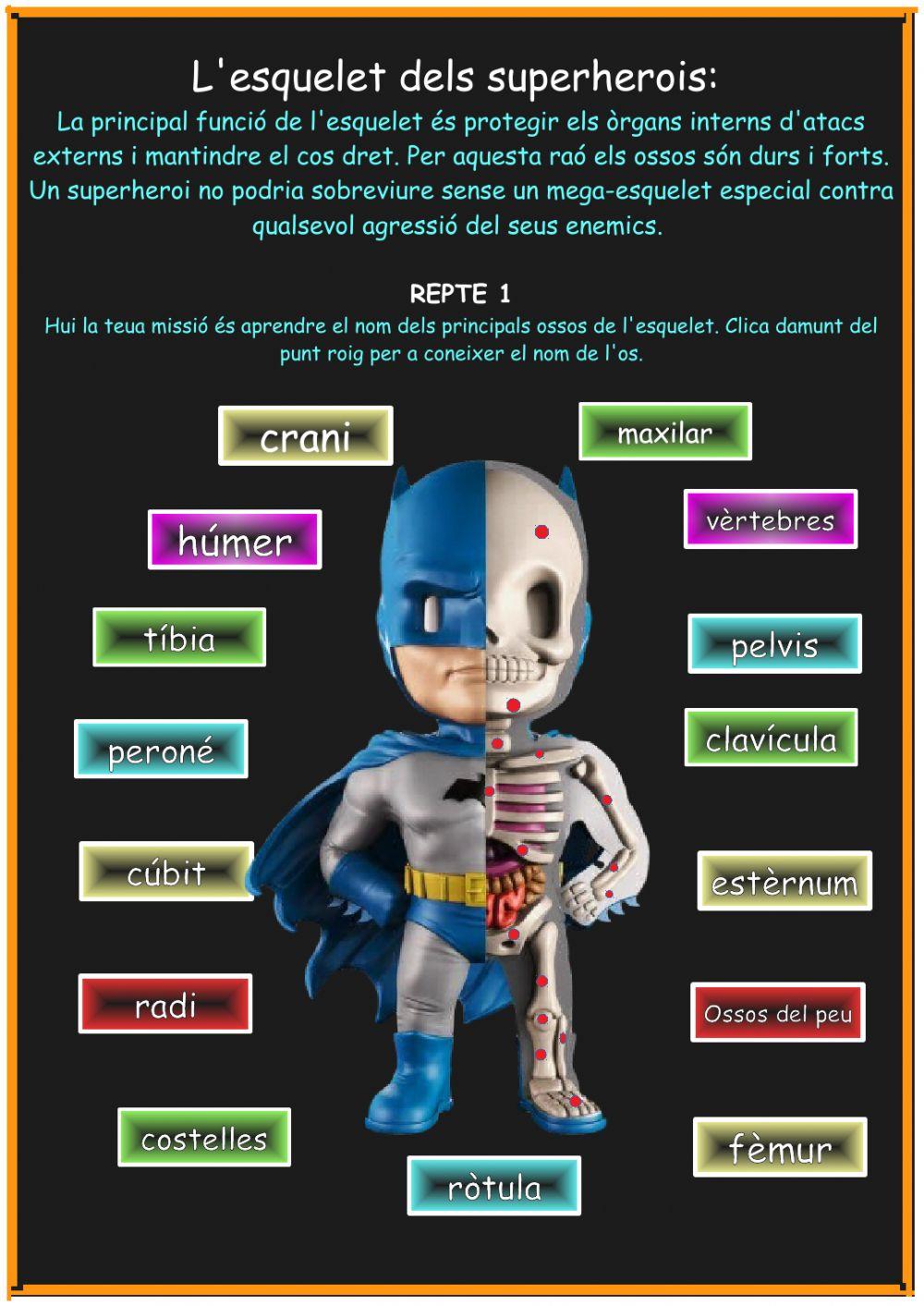 L esquelet- Projecte superherois L esquelet- Projecte superherois