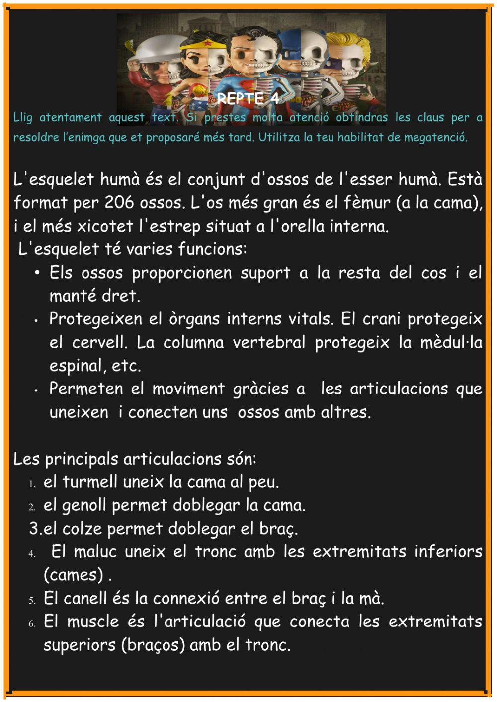 L esquelet- Projecte superherois L esquelet- Projecte superherois