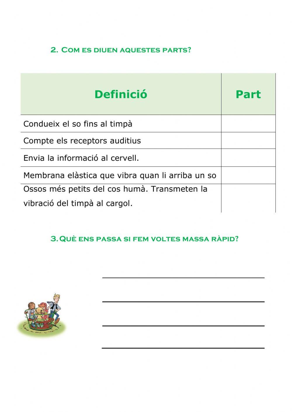 El sentit de l'oïda