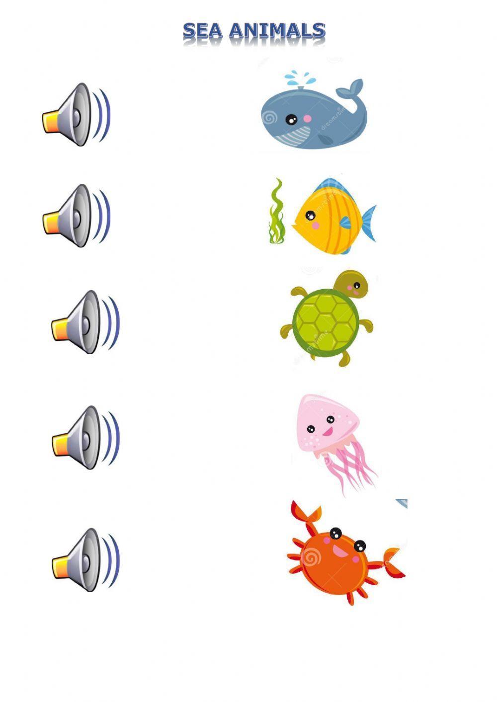 Sea animals
