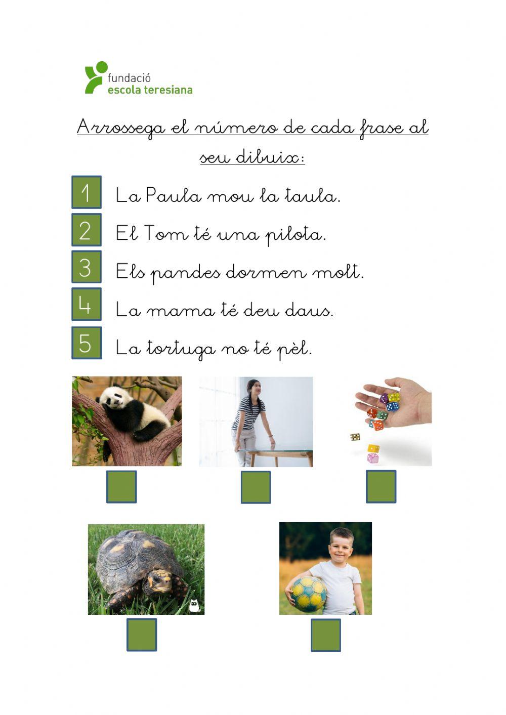 Repàs frases lletres S, T i D