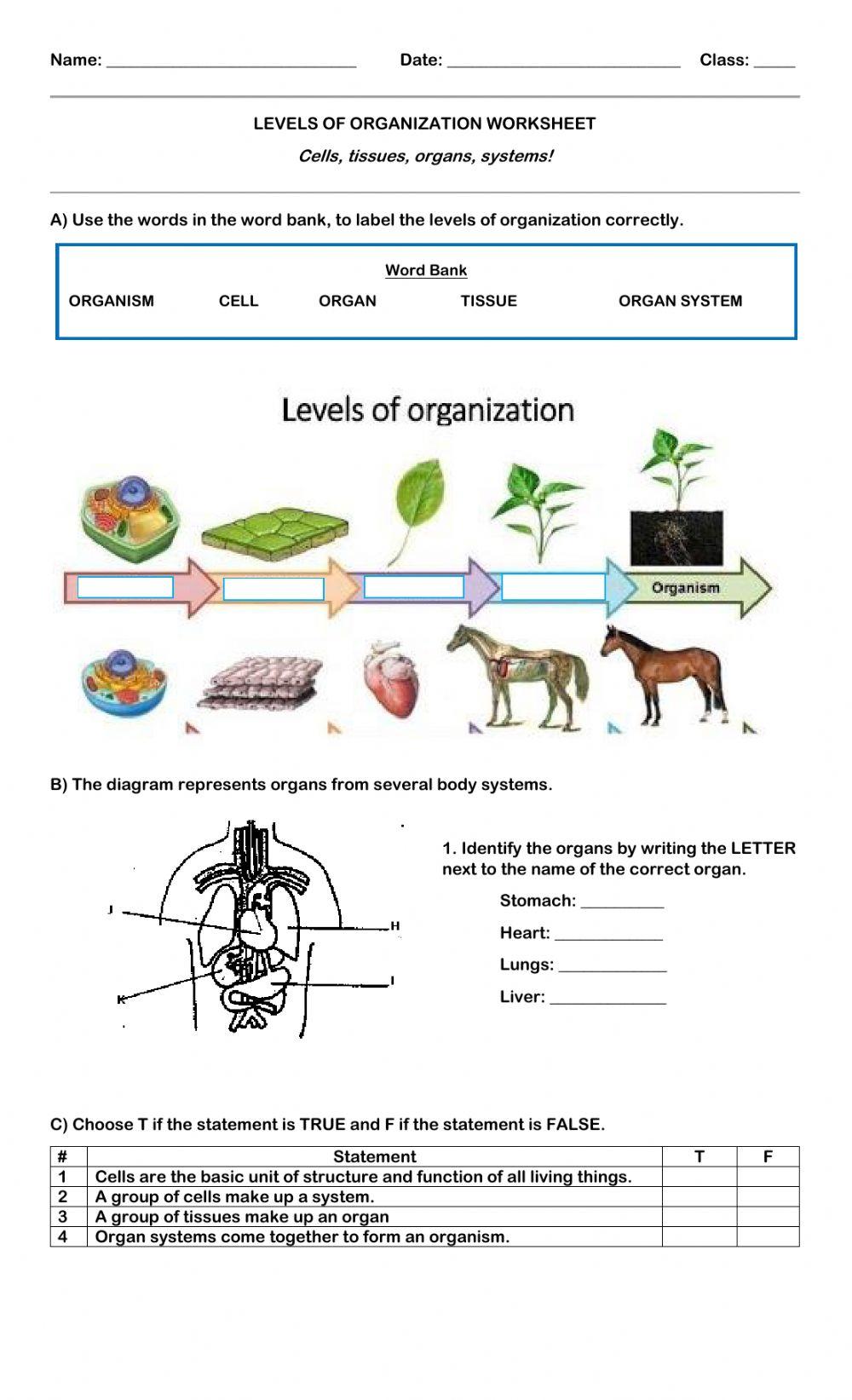 Levels of Organization