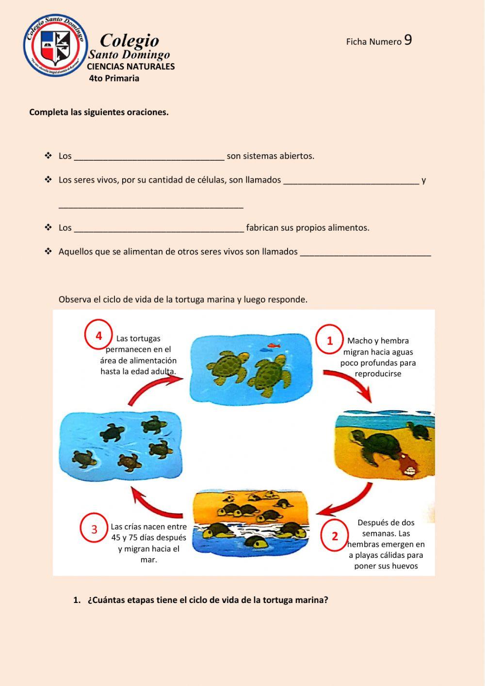 Demuestra qué sabes