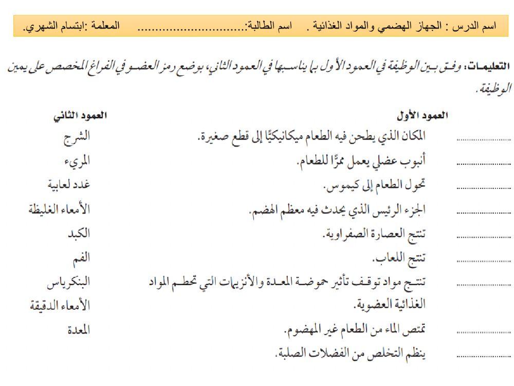 الجهاز الهضمي