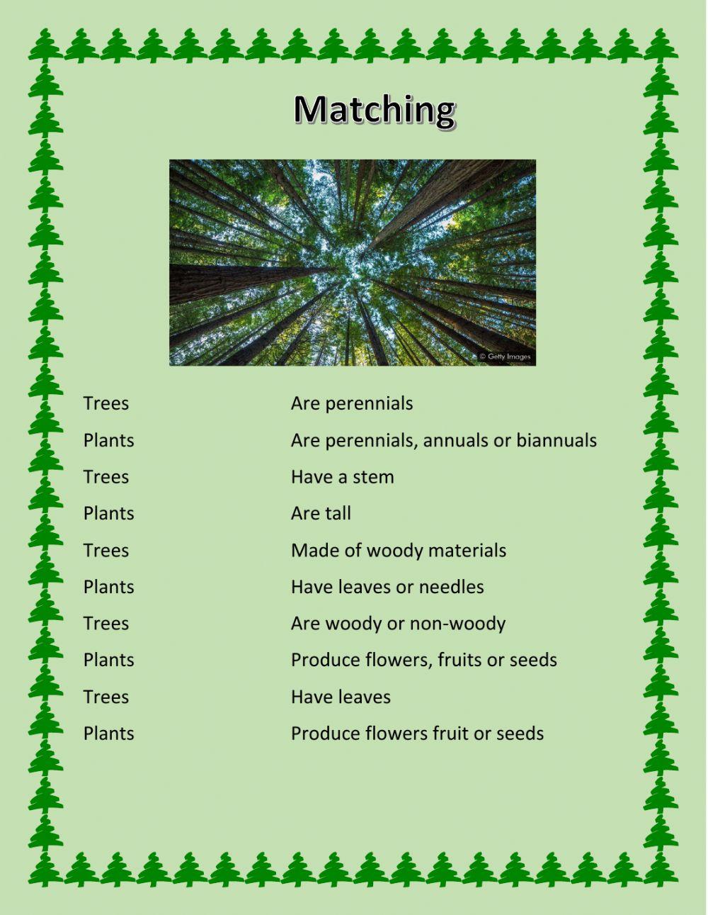 Trees and Shrubs: Matching