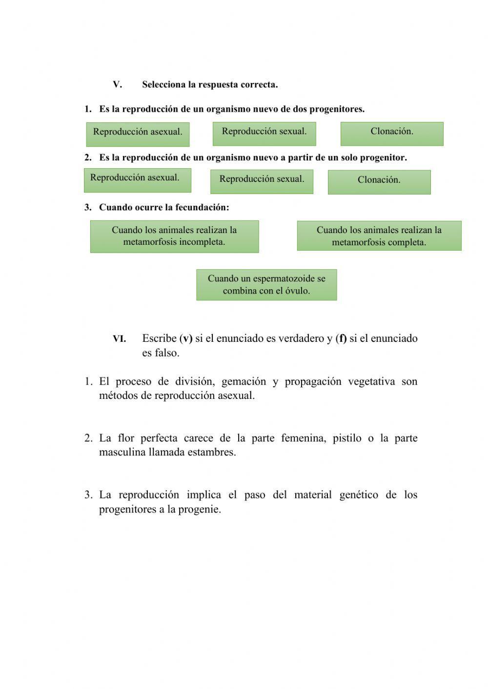 Prueba de rendimiento Naturales
