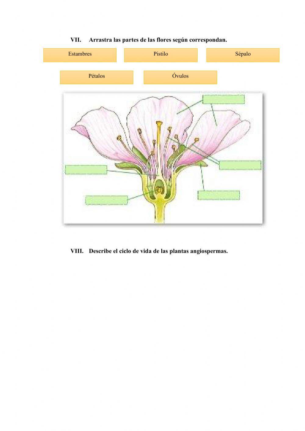Prueba de rendimiento Naturales