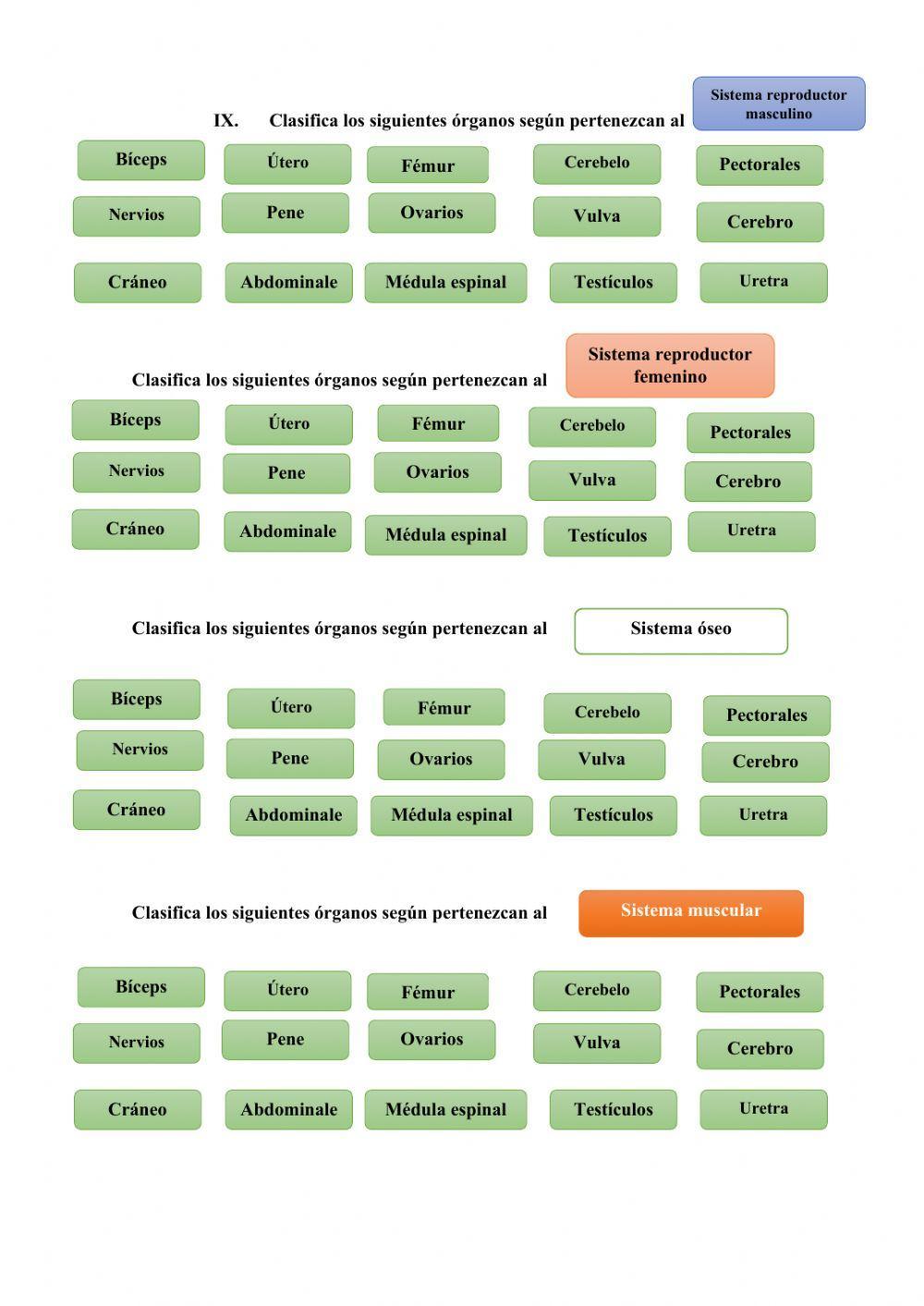 Prueba de rendimiento Naturales