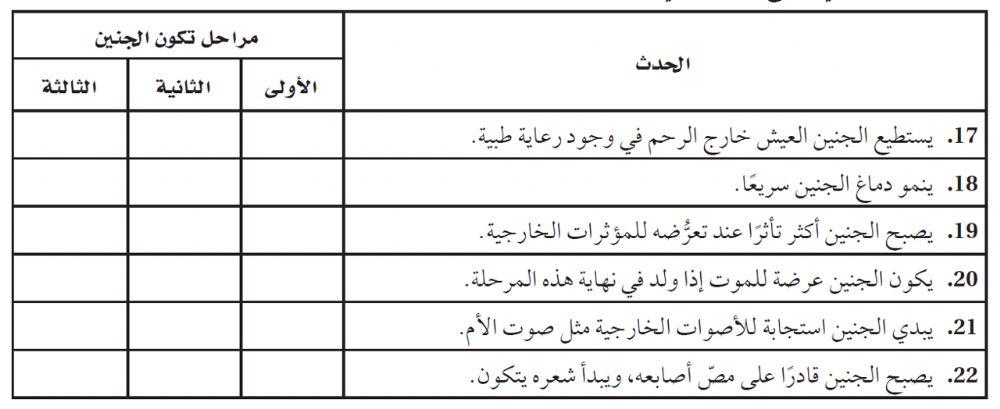 مراحل نمو الجنين