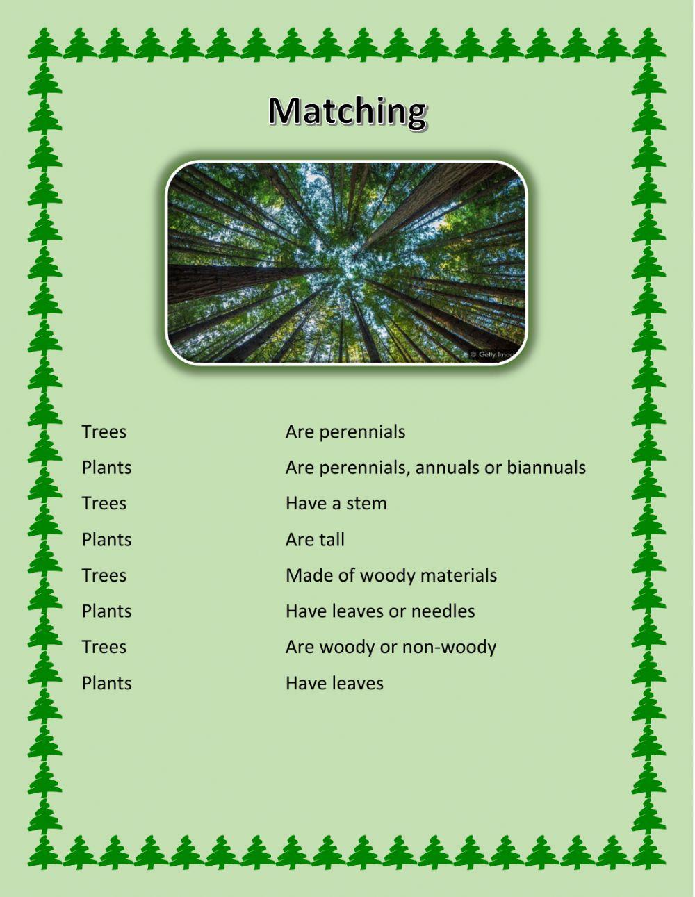 Trees and Shrubs: Matching