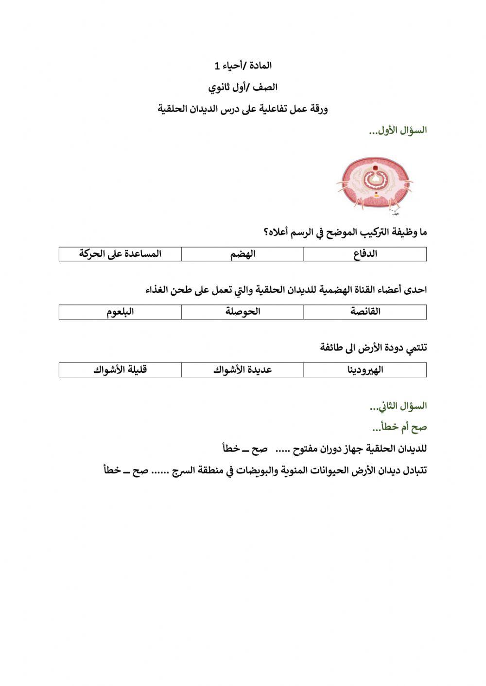ورقة عمل تفاعلية