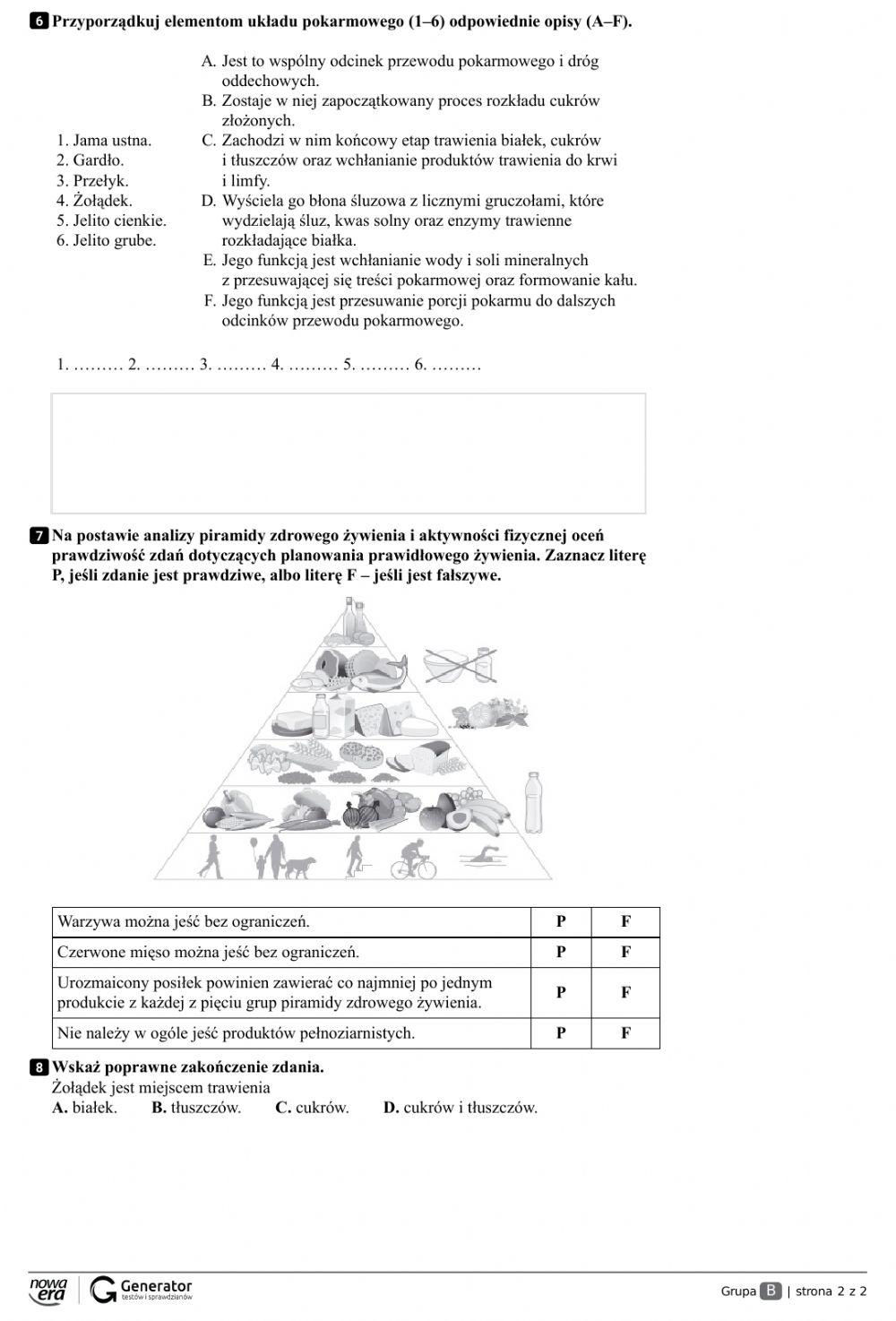 Układ pokarmowy gr A