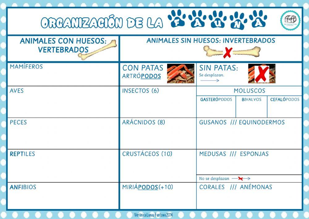 Clave dicotómica-clasificación de animales