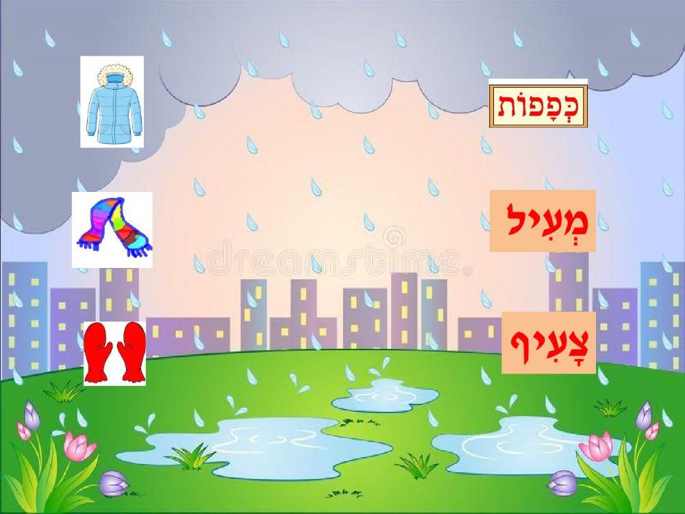 בוקר חורפי