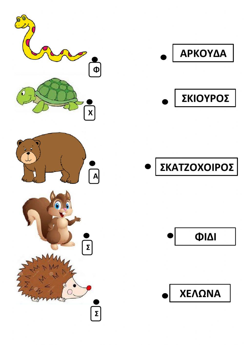 Ζωα σε χειμερια ναρκη