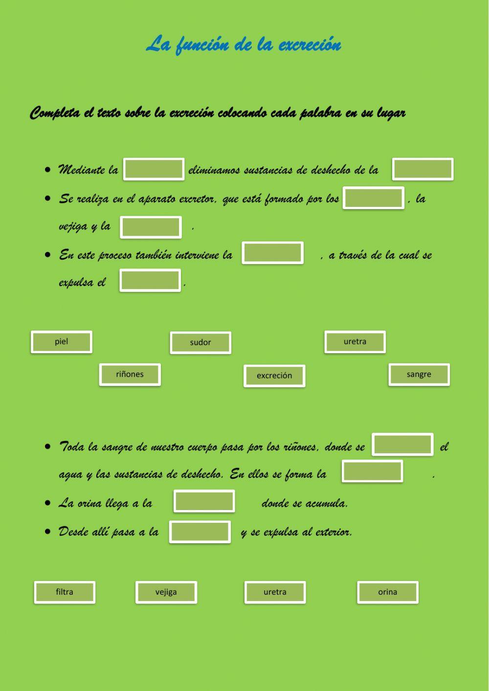 La respiración y la excreción