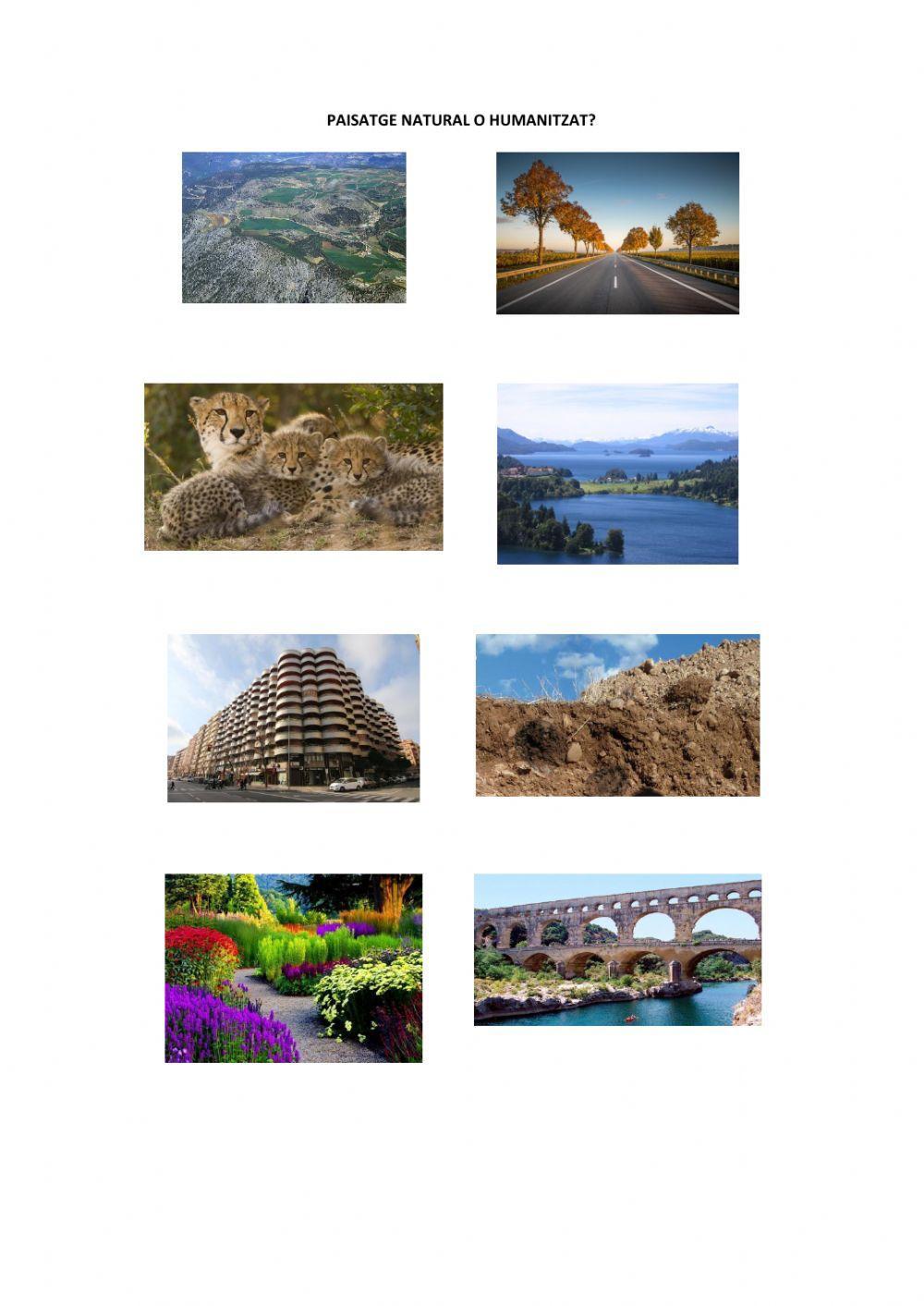 Paisatge natural o humanitzat