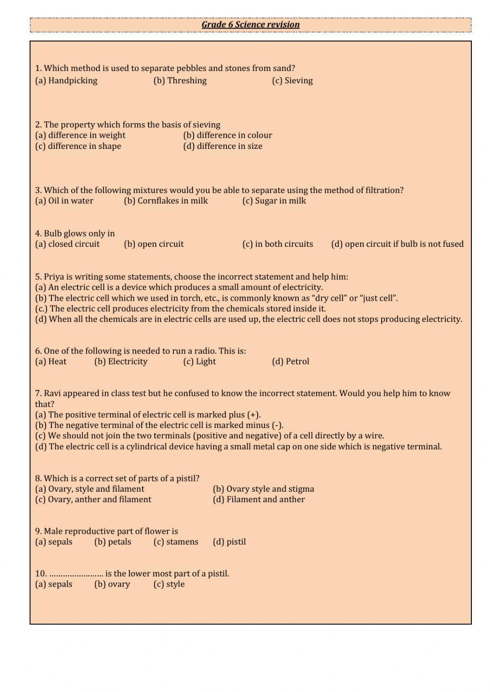 Revision online exercise for grade 6 | Live Worksheets