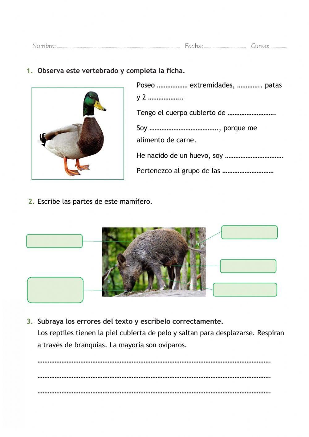 Ficha de Repaso Naturales Tema 2