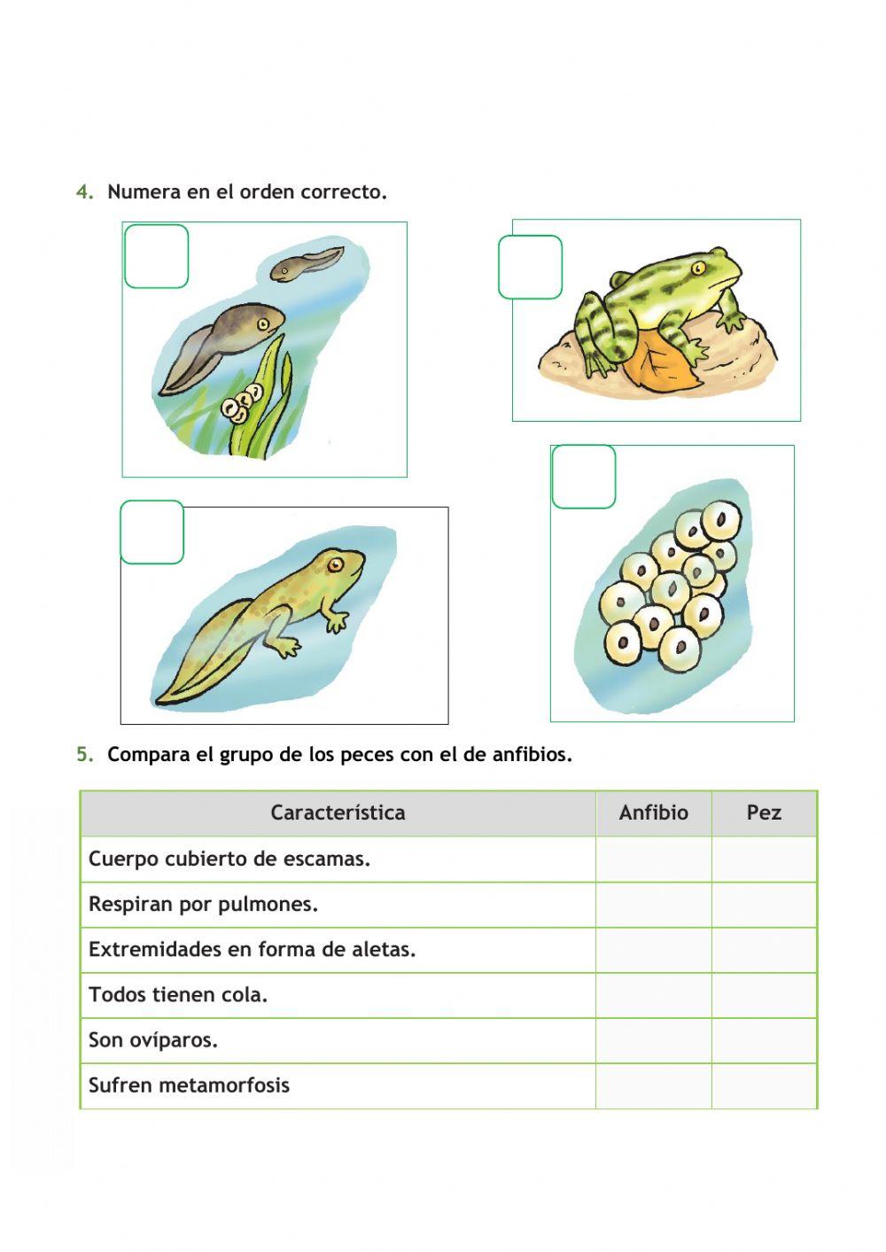 Ficha de Repaso Naturales Tema 2