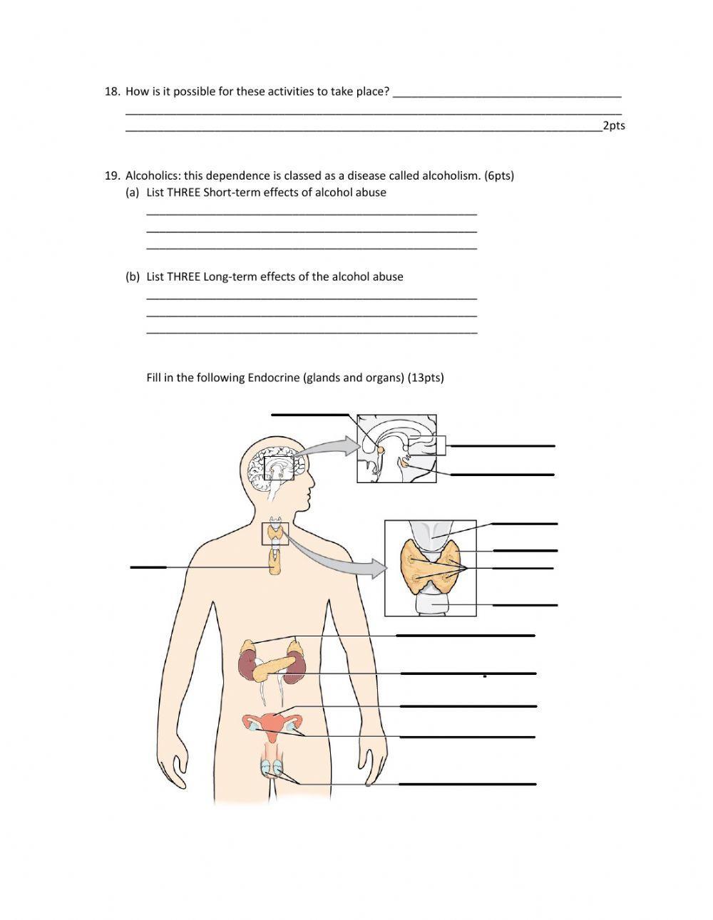 Biology Nervous and Circulatory System