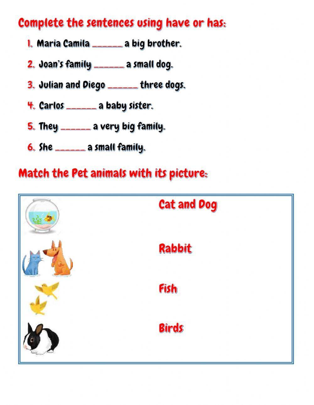 Describing My Family using HAVE