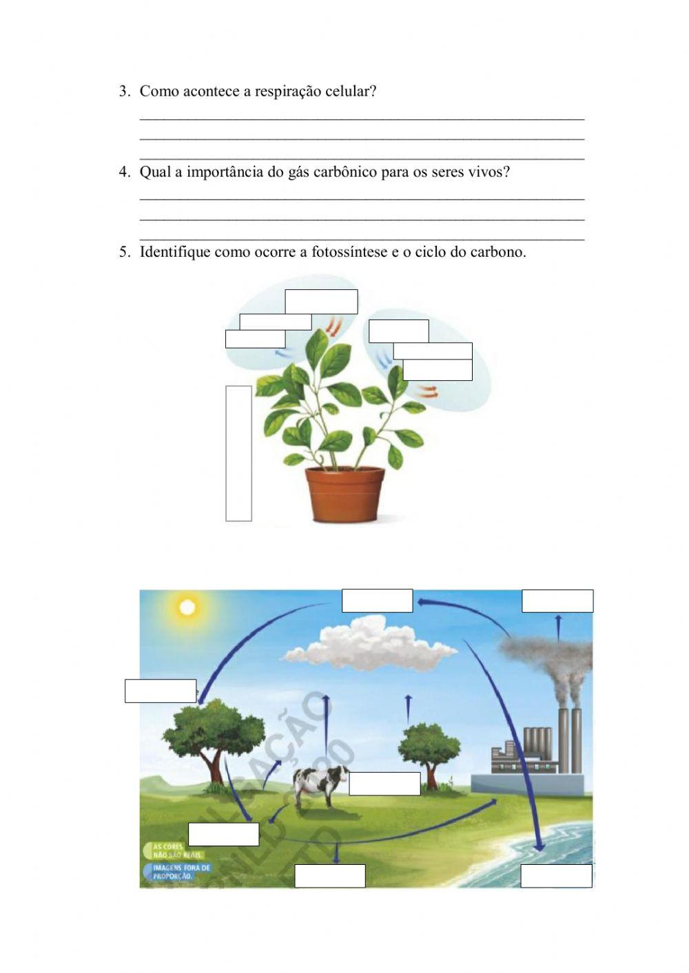 Composição do ar e suas propriedades