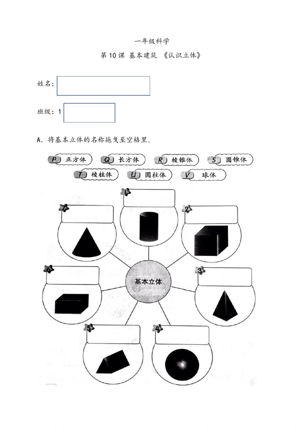 一年级科学（基本立体）