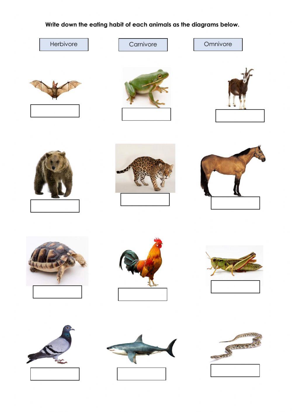 Animals Eating Habit