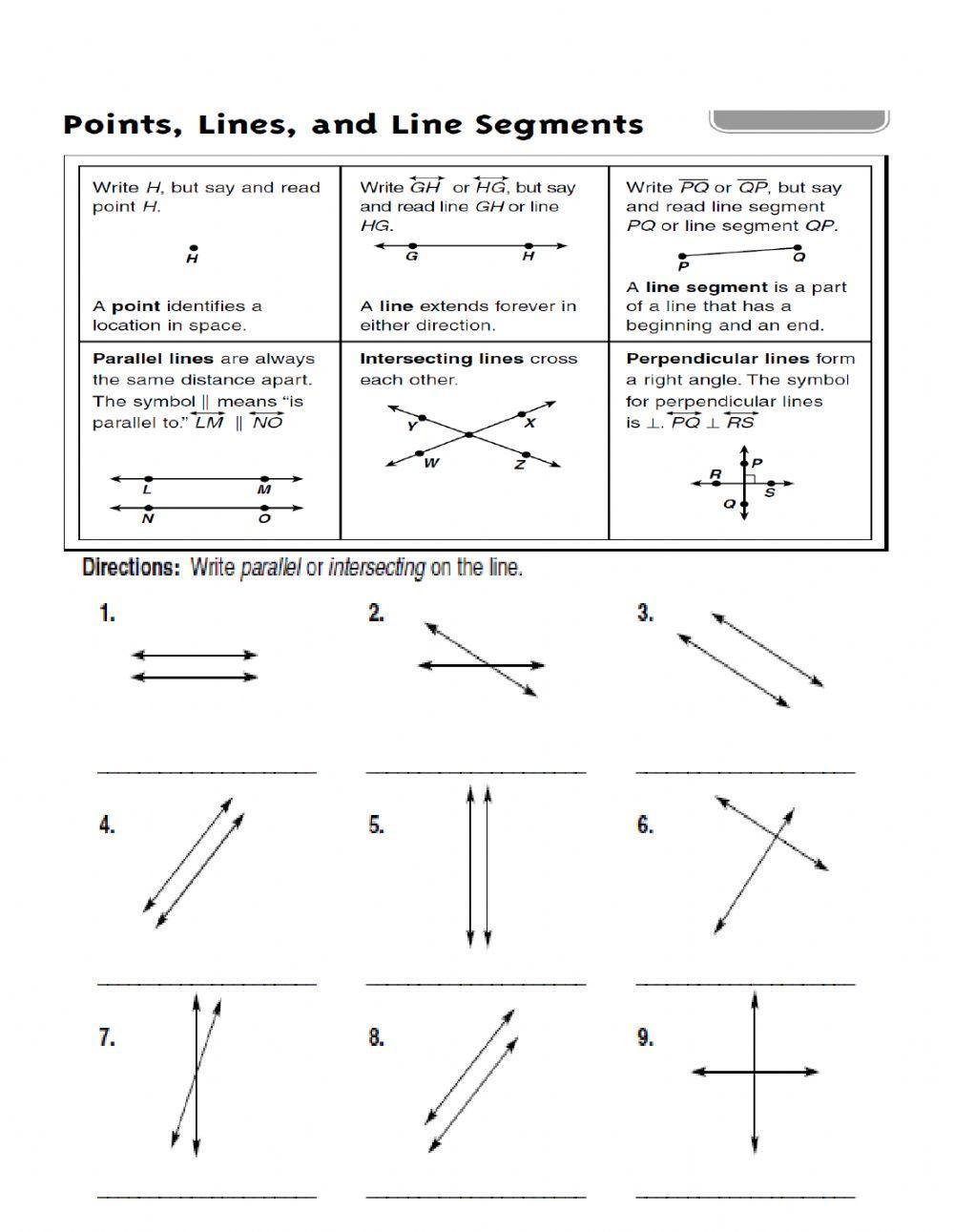 Point lines and line segments 1