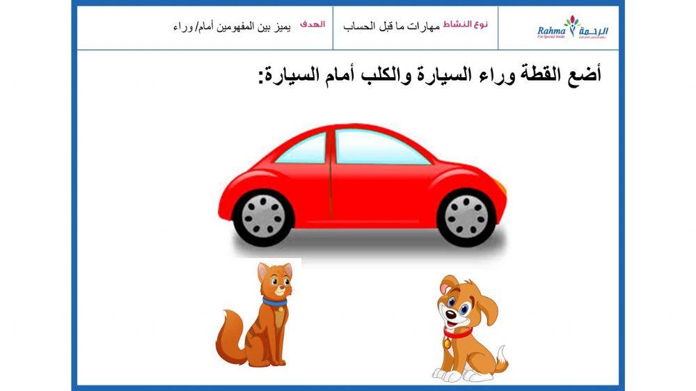 مهاراتماقبل الحساب