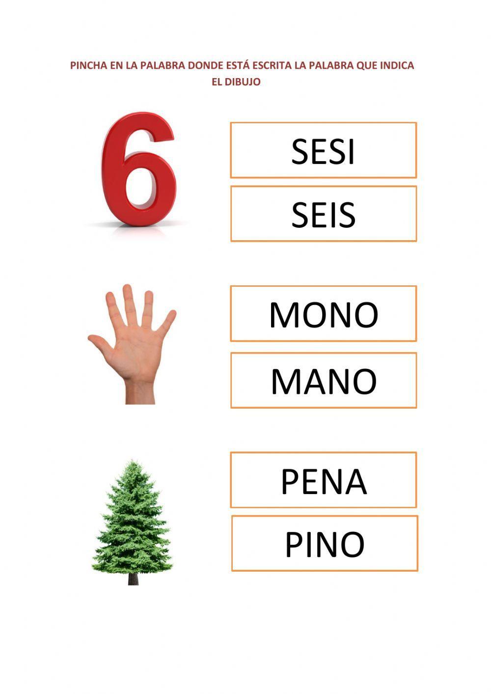 Busca la palabra correcta