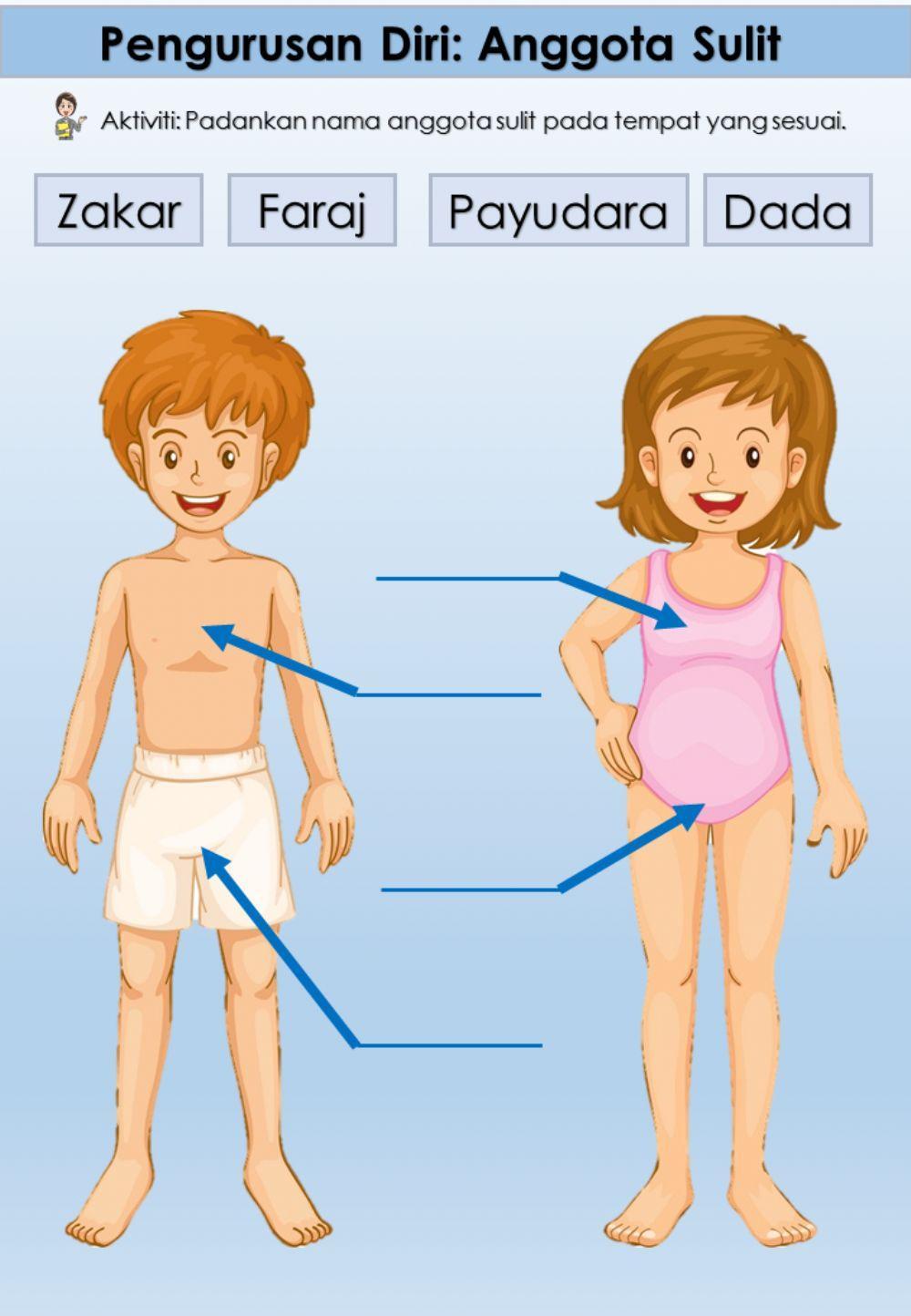 Alat Sulit Mengikut Jantina