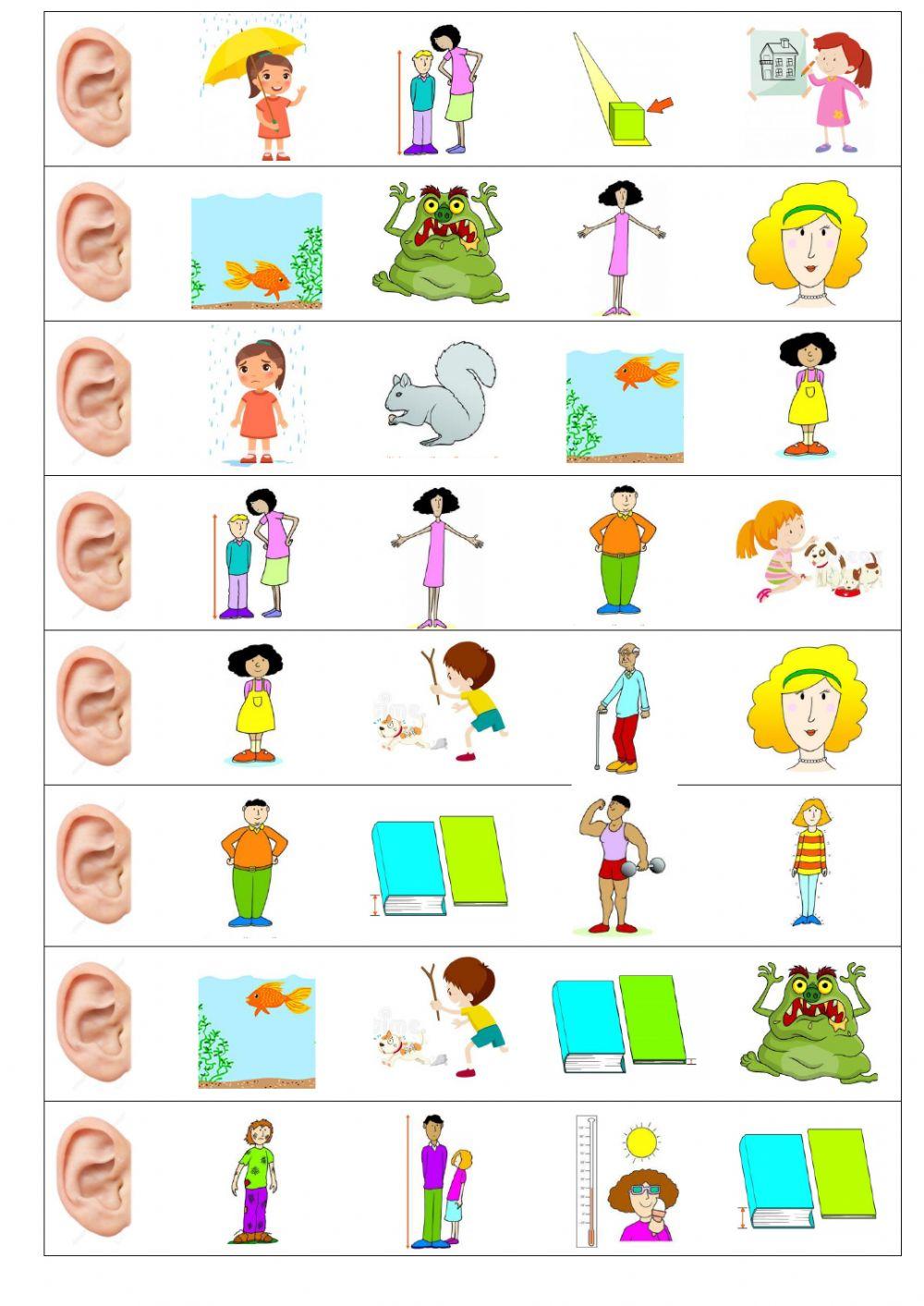 Opposite adjetives medium level