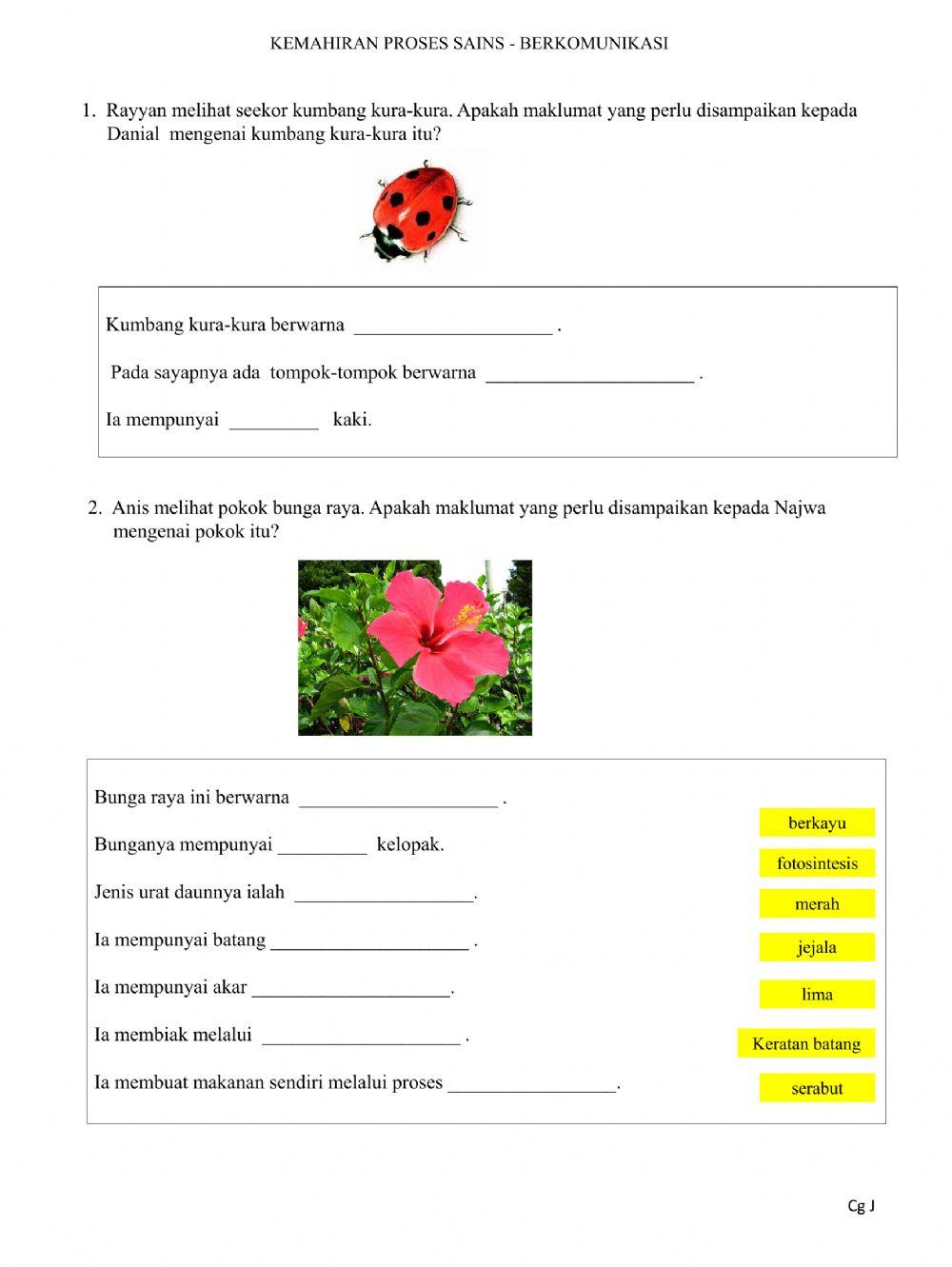 Kemahiran proses sains