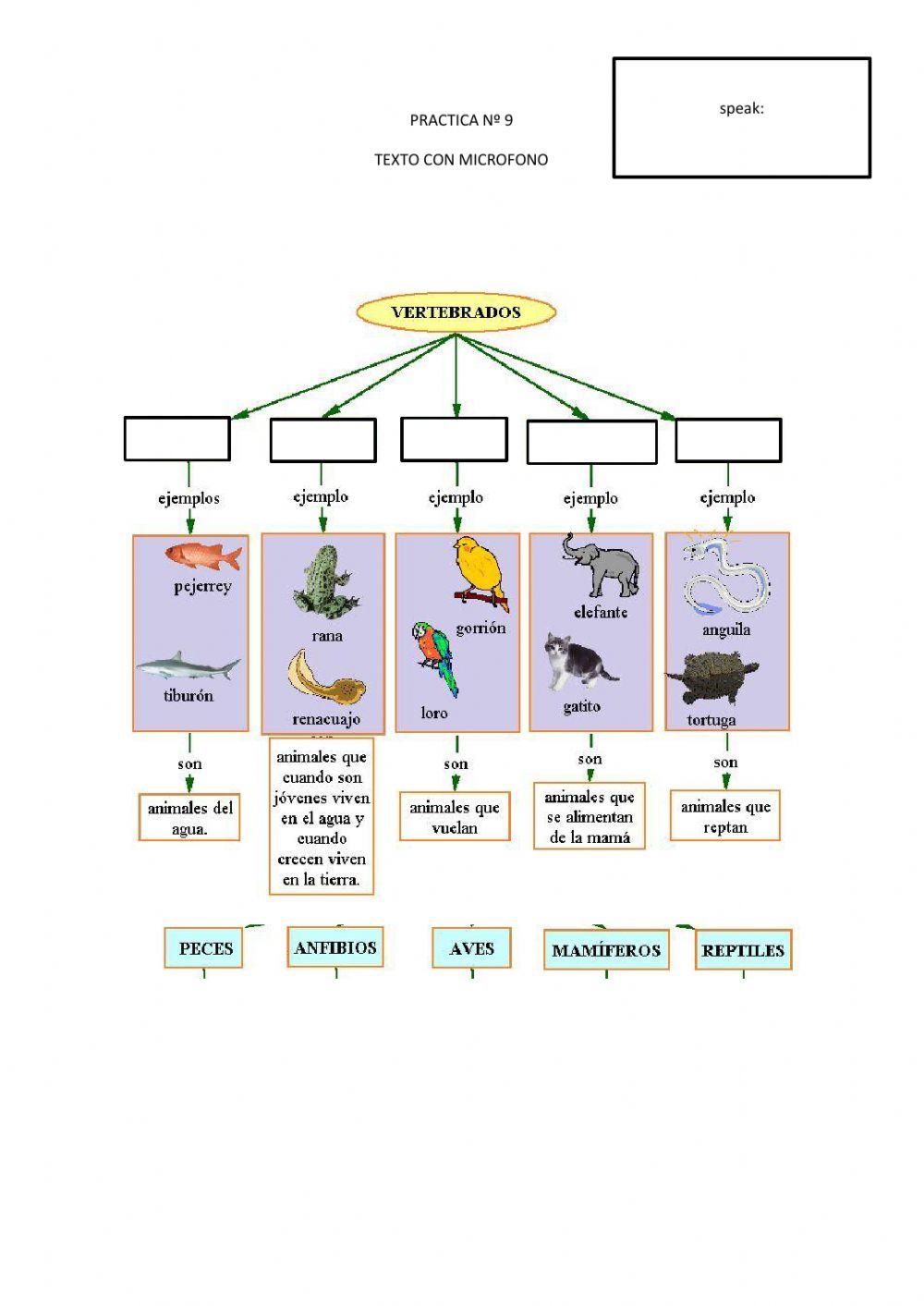 Identificación de organismos