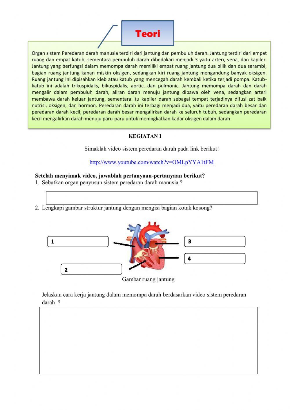 LKPD sistem peredaran darah